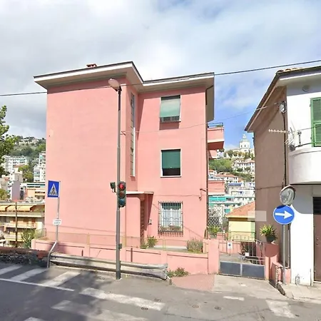 The Citrus House 圣雷默