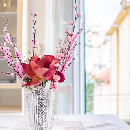 The Citrus House アパート