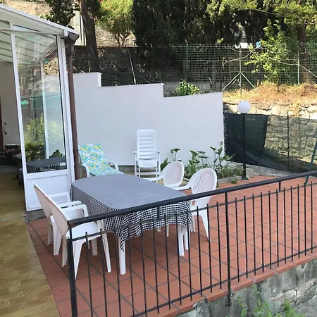 The Citrus House *